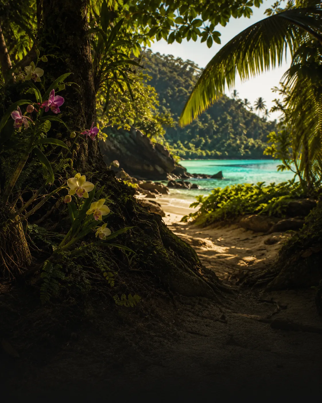 PACIFIC